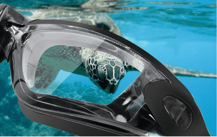 swimming goggles